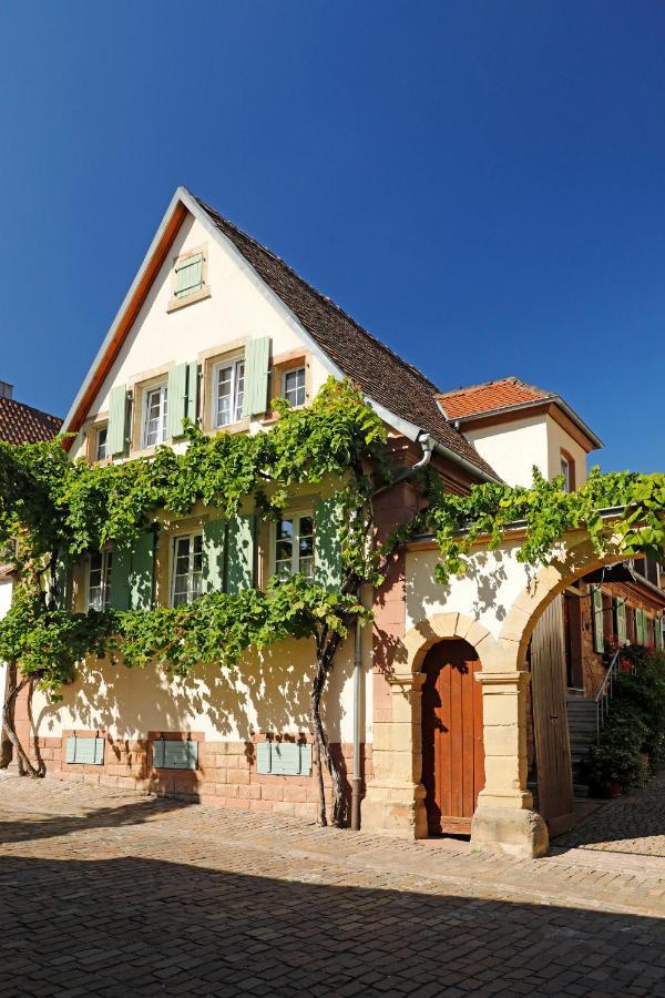 Gaestehaus Zum Weinbauer Rhodt unter Rietburg Kültér fotó